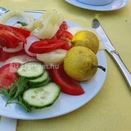 Gizella Vendégház, Badacsonytomaj - Vendéglátás