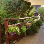 Gólyafészek Vendéglő Pápa - Egyéb