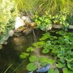 Gólyafészek Vendéglő Pápa - Egyéb