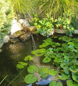 Gólyafészek Vendéglő