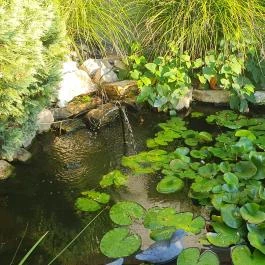 Gólyafészek Vendéglő, Pápa - Egyéb