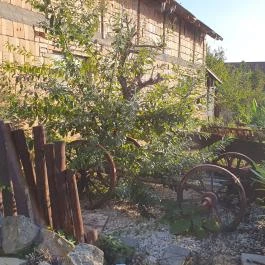 Gólyafészek Vendéglő, Pápa - Egyéb