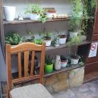 Gólyafészek Vendéglő Pápa - Egyéb