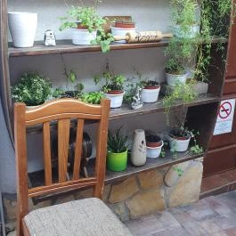 Gólyafészek Vendéglő, Pápa - Egyéb