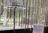 Gomba Caffe Kiskunhalas