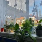 Görög pizzéria Szeged - Egyéb