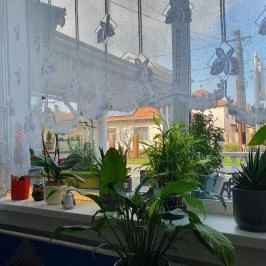 Görög pizzéria Szeged - Egyéb