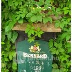 Gőzhajó Kávézó & Galéria Szentendre - Egyéb