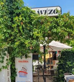 Gőzhajó Kávézó & Galéria