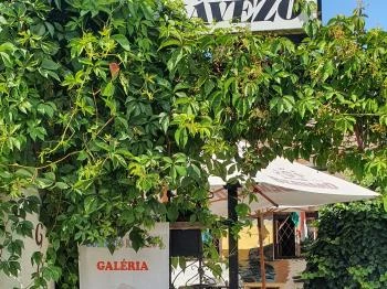 Gőzhajó Kávézó & Galéria Szentendre