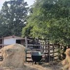 Graefl Major Poroszló - Egyéb