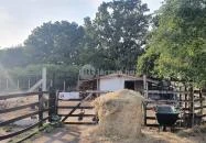 Graefl Major Poroszló