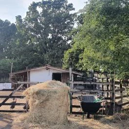 Graefl Major Poroszló - Egyéb