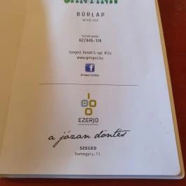 Gringo's Cantina, Szeged - Étlap/itallap