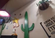 Gringos Amigos - Fehérvári út Budapest