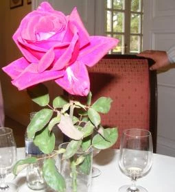 Gróf Degenfeld Kastélyszálló Étterem