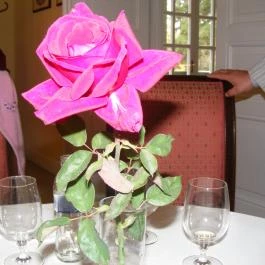 Gróf Degenfeld Kastélyszálló Étterem Tarcal - Belső