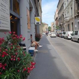 Grumpy, Budapest - Külső kép