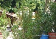 Guri Serház Törökbálint Törökbálint