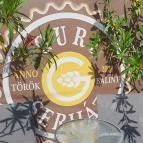 Guri Serház Törökbálint Törökbálint - Egyéb