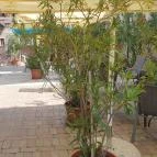 Guri Serház Törökbálint Törökbálint - Egyéb