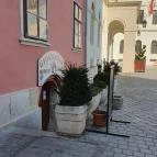 Gyógygödör Borozó Sopron - Egyéb