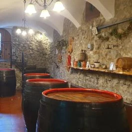 Gyógygödör Borozó Sopron - Egyéb