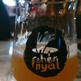 Gyöngy Presszó Budapest - Egyéb