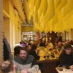 Hachi Budapest - Egyéb