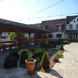 Halasi Panzió Villány - Környék