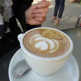 Halasi Panzió Villány - Vendéglátás