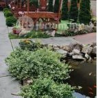 Fodor Halászcsárda Gyula - Egyéb