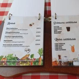 Fodor Halászcsárda Gyula - Egyéb