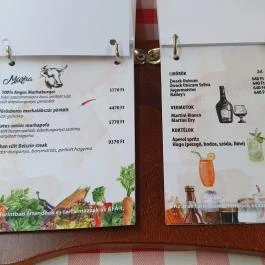 Fodor Halászcsárda Gyula - Egyéb