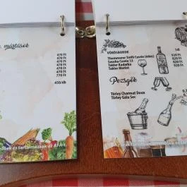 Fodor Halászcsárda Gyula - Egyéb