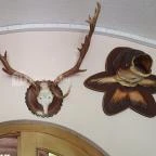 Fodor Halászcsárda Gyula - Egyéb