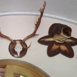 Fodor Halászcsárda Gyula - Egyéb