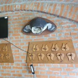 Fodor Halászcsárda Gyula - Egyéb