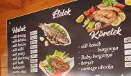 Haltanya Halsütő Büfé Poroszló - Egyéb