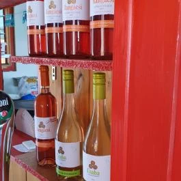 Haltanya Halsütő Büfé Poroszló - Egyéb