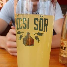 Haltanya Halsütő Büfé Poroszló - Egyéb