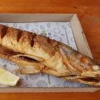 Haltanya Halsütő Büfé Poroszló - Egyéb