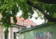 Hambi Büfé & Gyros Zóna Kondoros