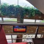 Hamburger Bár Gyula - Belső