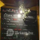 Harcsa Csárda Százhalombatta - Egyéb