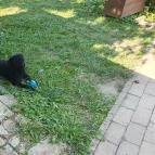 Harcsási 60 Vendégház Békésszentandrás - Egyéb