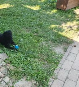 Harcsási 60 Vendégház