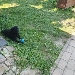 Harcsási 60 Vendégház Békésszentandrás - Egyéb