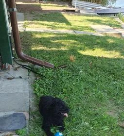 Harcsási 60 Vendégház