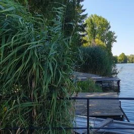 Harcsási 60 Vendégház Békésszentandrás - Egyéb